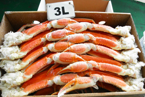 Snow Crab