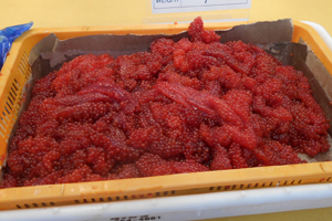 Frozen Salmon Roe